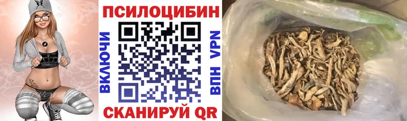кракен маркетплейс Воронеж Псилоцибиновые грибы мухоморы купить наркотики сайты